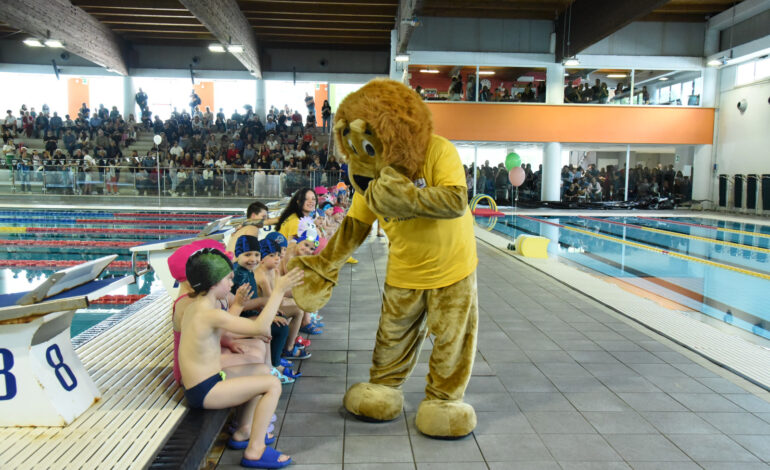  Frosinone, Stadio del nuoto: momento di bilanci per le gare sociali.